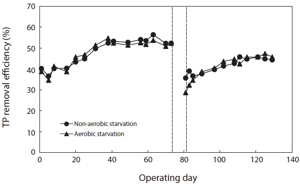 Removal efficiency of total phosphorous (TP) after aerobic/ non-aerobic starvation.
