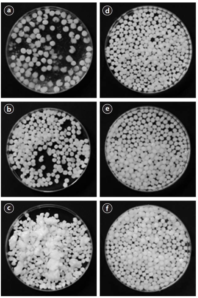 Deformation of LDH-alginate beads (LAB, a?c) and LDHPVA/ alginate beads (LPAB, d-f ) in column experiments: (a) LAB on top, (b) LAB on middle, (c) LAB on bottom, (d) LAPB on top, (e) LAPB on middle, (f ) LAPB on bottom (column length, 10 cm). LDH: layered double hydroxide, PVA: polyvinyl alcohol.