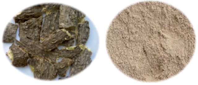 Moringa oleifera (left) bark pieces (right) bark powder.