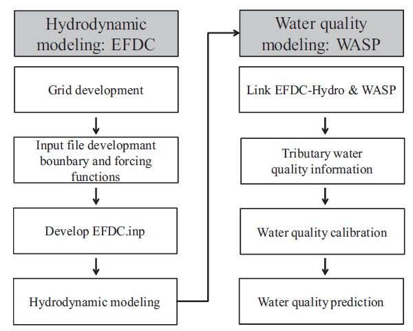 Hydrodynamics and water quality modeling process in this study. EFDC: Environmental Fluid Dynamics Code, WASP: Water Quality Analysis Simulation Program.