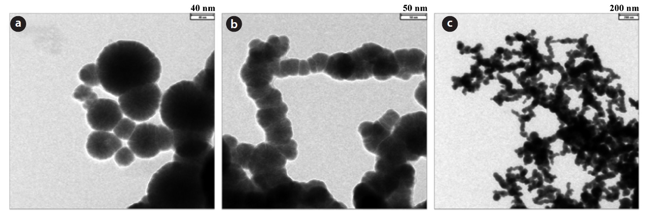 Transmission electron microscope images of the prepared nanoscale zero-valent iron with different magnification.