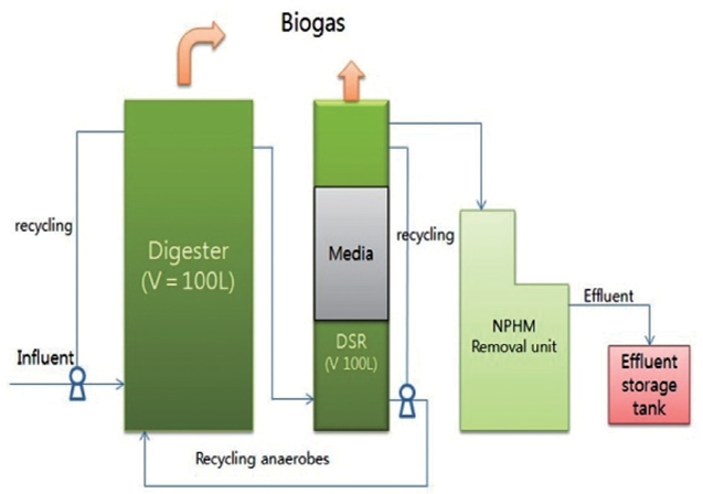 The configuration of new digestion system. DSR: digested sludge reduction, NPHM: nitrogen, phosphorus, and heavy metals.