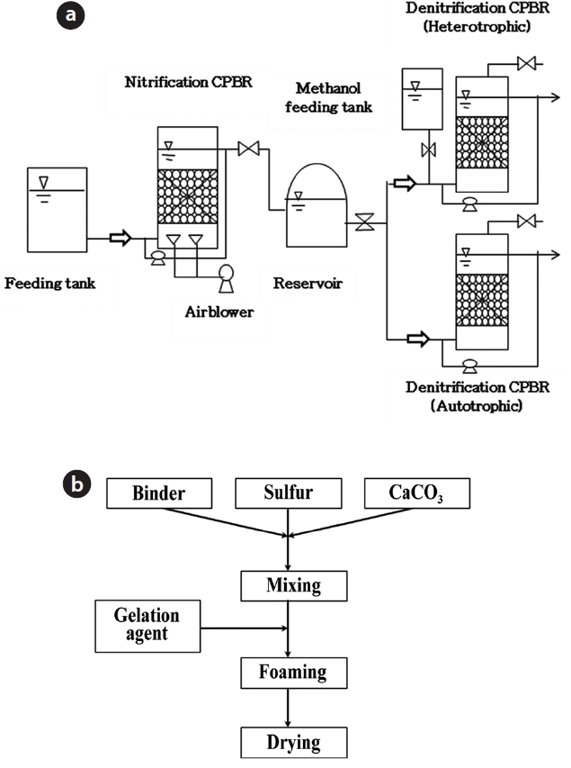 Schematic diagrams for (a) continuous flow packed-bed re-actors (CPBR) system and (b) manufacturing sulfur ceramic media.