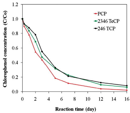 Dechlorination of pentachlorophenol (PCP) tetrachlorophe-nols (TeCP) and trichlorophenols (TCP) by a Ni/Fe bimetal.