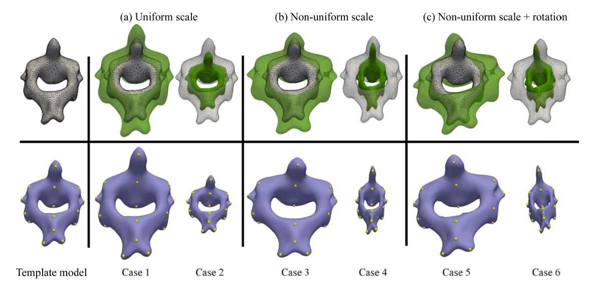 Shape modeling with synthetic data of the second cervical vertebrae (C2). Green objects in the first row represent the surfaces of C2 in the target binary images. They are reconstructed by the marching cubes algorithm. Template model is represented as wireframe mesh in the first row. At the far left column, the template model and the anatomical landmarks on the model are presented. Purple objects represent the results of shape modeling, and the yellow bubble dots indicate the position of anatomical landmarks corresponding to the landmarks on the template model.