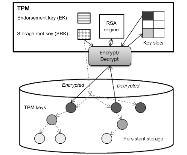 Trusted platform module (TPM) key hierarchy. RSA: Rivest Shamir Adelman.