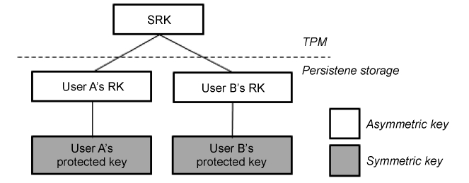 Data firewall trusted platform module (TPM) key tree. SRK: storage root key RK: roaming key.