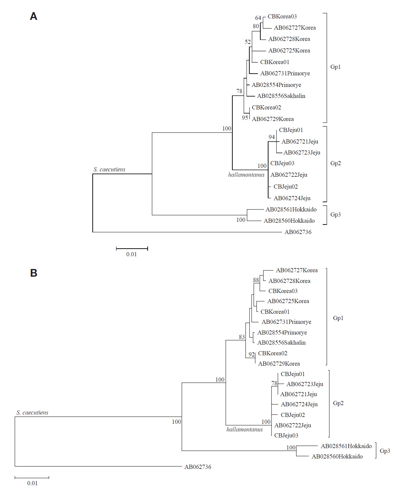 Maximum likelihood trees with 19 cytochrome b haplotypes (1,140 bp) of Sorex caecutiens. The two trees (A and B) were constructed by MEGA5 and PAUP 4.10b, respectively, and the bootstrap values > 50% are reported at the internodes. Six haplotypes (CBKorea01-CBKorea03 and CBJeju01-CBJeju03) were obtained from this study, and for other 13 haplotypes obtained from GenBank, location name follows the accession number in each haplotype. Sorex isodon (AB062736) was used as outgroup.