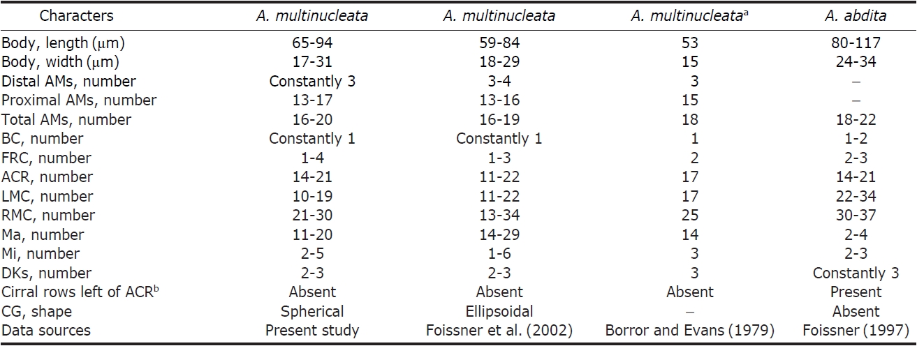 Comparisons between different populations of Afroamphisiella multinucleata and A. abdita