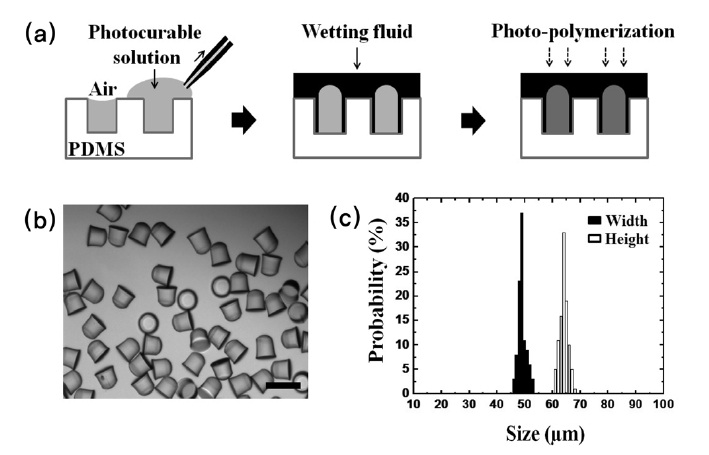 (a) Procedure of fabrication of anisotropic particles with
convex roof shape using wetting fluid. (b) Optical image
of the bell shaped particles from 50 × 60 μm (length ×
height) mold. (c) the size distribution of the particles . The
coefficient of variation with 1.9% (either particle width
and height) indicates high monodisperse particles. (scale
bar is 100 μm in optical image)