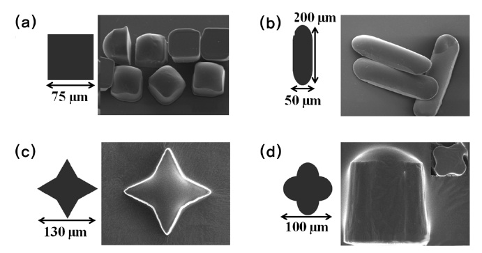 Optical images of synthesised particles from a square,
rod, star and clover of mold, respectively((a), (b), (c) and
(d)) Scale bars are 50 μm.