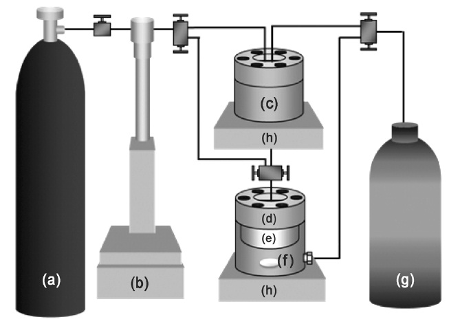 Schematic representation of scCO2 dry etching process. (a) CO2 cylinder, (b) ISCO syringe pump, (c) mixing chamber, (d) sample chamber, (e) view cell, (f) wafer, (g) NaOH, (h) electromagnetic stirrer.