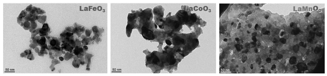 TEM images of various perovskite oxides.