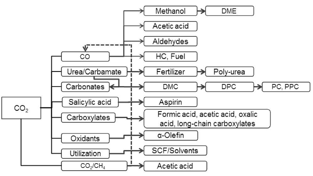 Various platform chemicals which use CO2 as raw material.