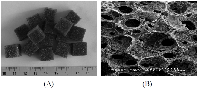 Pictures of the media used in this study (A), and the scanning electron microscopy image of the medium (× 500) (B).
