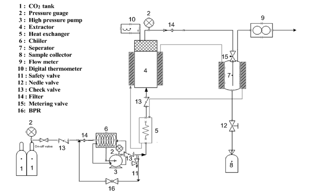 Schematic diagram of supercritical carbon dioxide extraction apparatus.