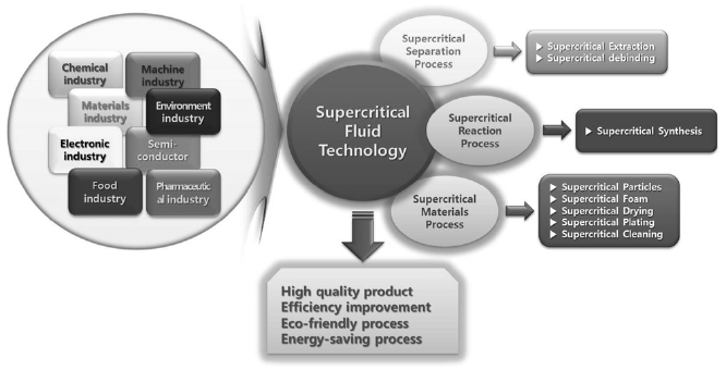 Overall outline of supercritical fluid technology.