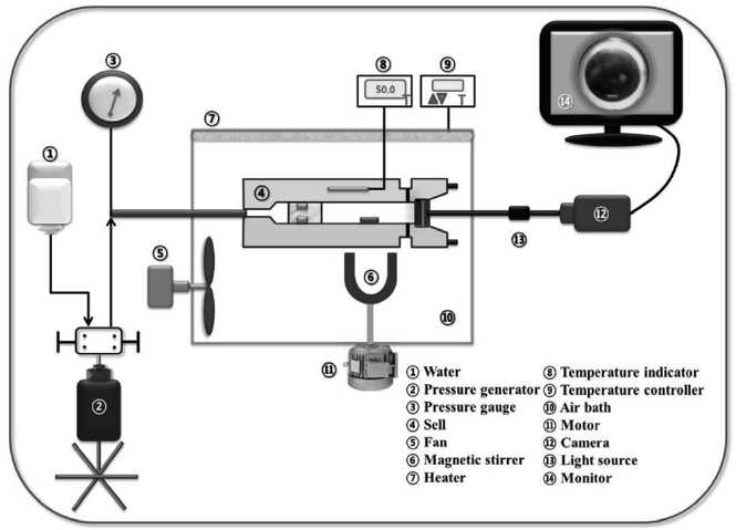 Experimental apparatus of high-pressure phase behavior.