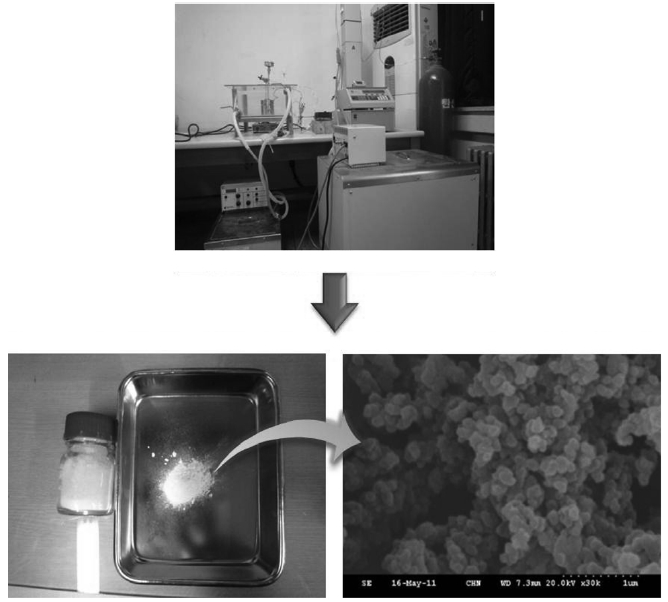 Photograph of experimental apparatus of supercritical polymerization and SEM image of polymer prepared using supercritical polymerization.