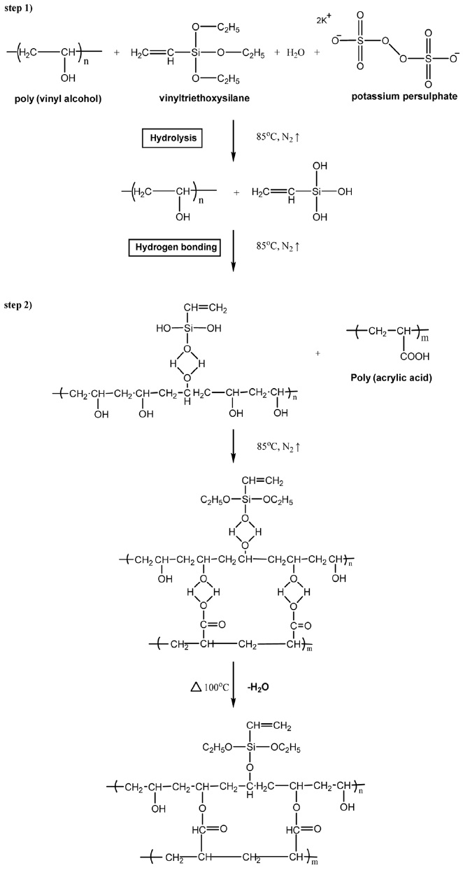 The mechanism of vinyltriethoxysilane modified PVA/ PAA blend films.