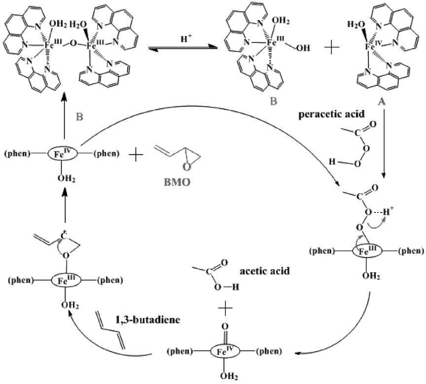 Reaction mechanism proposed in this study where an iron complex was used as a catalyst.
