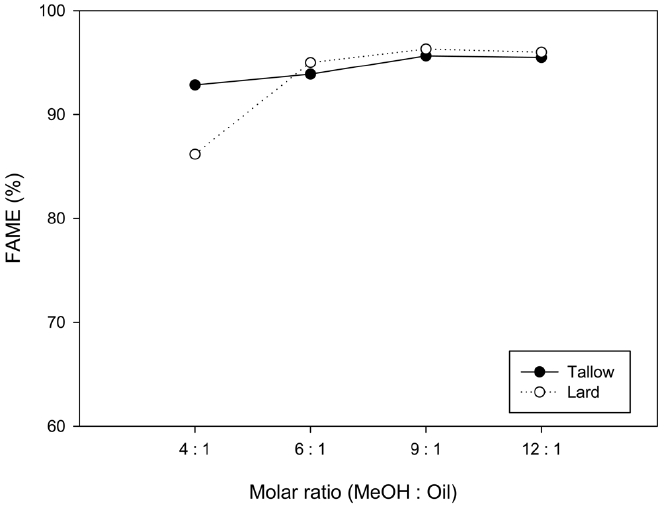 Effect of methanol/oil ratio on trans-esterification of lard and beef tallow.
