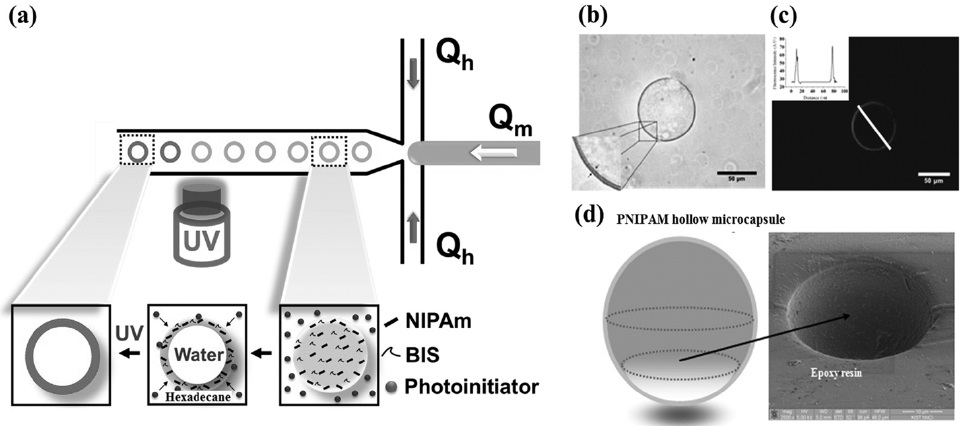 (a) Schematic diagram of synthetic route of monodisperse, thermosensitive hollow micro capsule via flow focusing microfluidic device, (b) Bright field image of hollow microcapsules, (c) Confocal fluorescence microscope image of a hollow microcapsule, (d) Magnified SEM image of a hollow microcapsule embedded in epoxy[15].