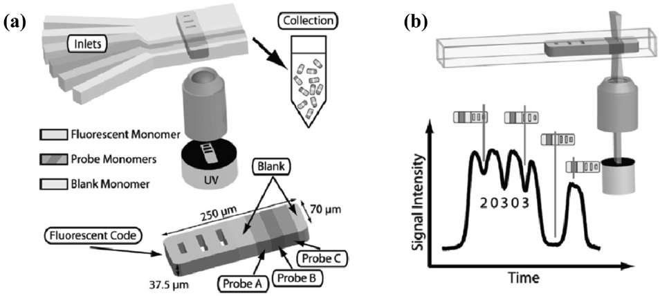 Multiplexed analysis of practical for high-throughput applications. (a) Barcoding system using probe encoded particles, (b) Flowthrough particle reading[33].