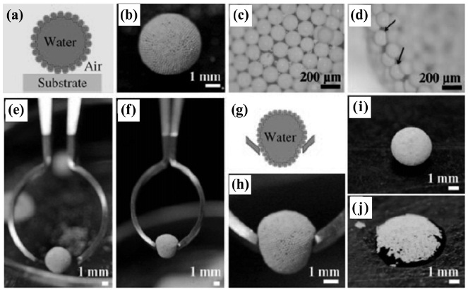 The Janus microspheres can be used to make liquid marbles. (a)-(j) A liquid marble composed of a water droplet coated with Janus microspheres[36].