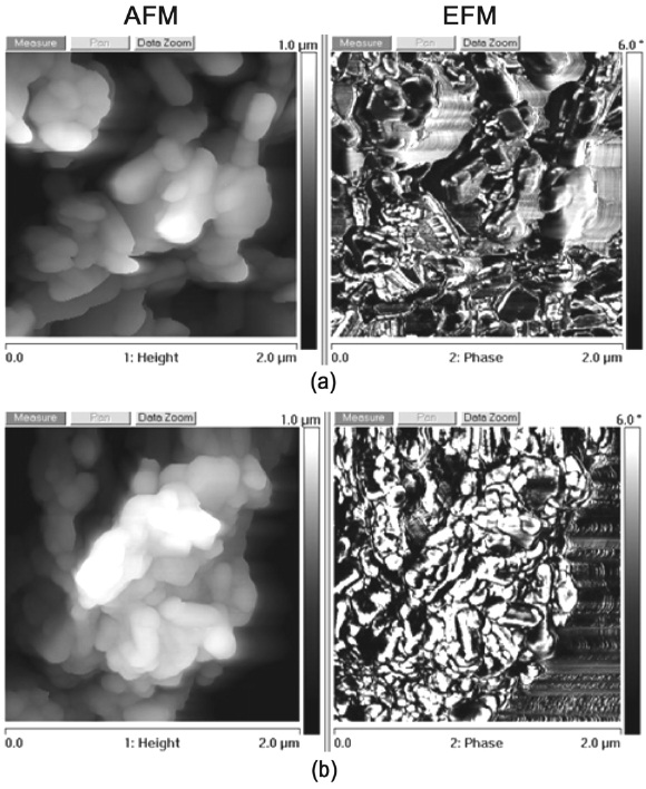 AFM and EFM images of (a) WO3 and (b) 0.10 mol% Ti/WO3.