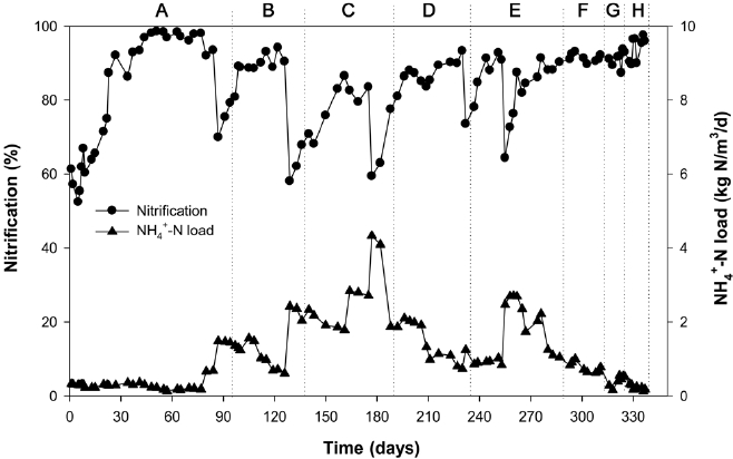 Time course of wastewater nitrification in a pilot scale air-lift sequencing batch reactor with various ammonium loads.