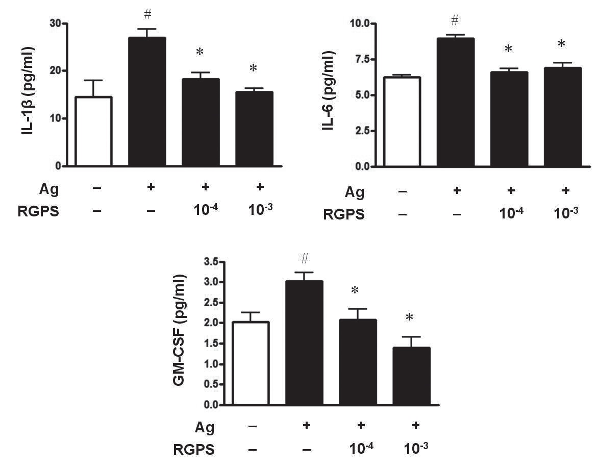 Effects of RGPS on the secretion of IL-1β, IL-6 and GM-CSF in IgE/Ag-stimulated RBL-2H3 cells. The cells (5 × 105 cells/ml) were sensitized with anti-DNP IgE (0.5 μg/ml) for 24 h and stimulated with DNP-HSA (10 μg/ml). RGPS (10-4 and 10-3 dilution) was pretreated for 1 h prior to DNP-HSA stimulation for 4 h. IL-1β, IL-6 and GM-CSF concentrations were measured in the cell supernatant using ELISA method. The absorbance was measured at 450 nm using an ELISA reader. The results represent as the mean ± SD. # p < 0.05 vs vehicle group, *p < 0.05 vs stimulated group.