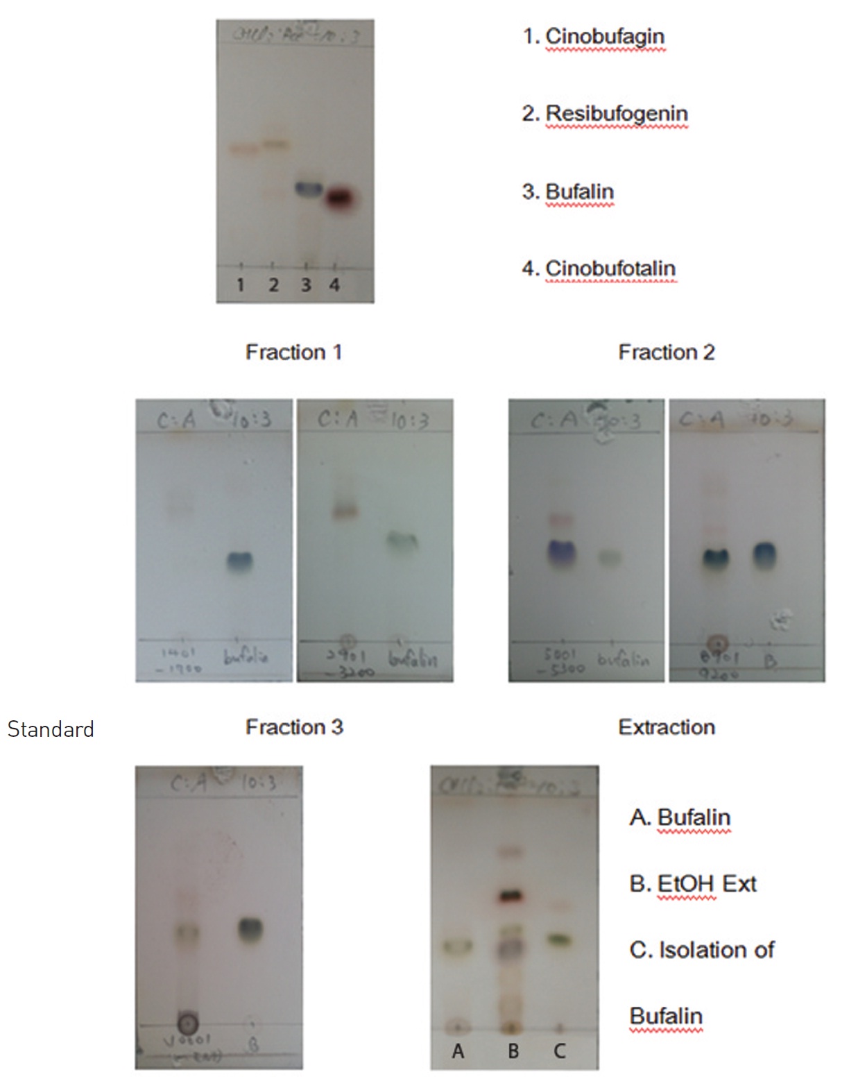 Comparative TLC chromatography results for Venenum Bufonis(plate: TLC silica gel 60 F254, developing solvent: CHCl3 : acetone = 0 : 3, and detection: 10% H2SO4 10%).