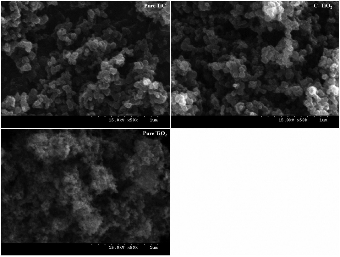 Scanning electron microscope pattern of titanium carbide (TiC), carbon-doped TiO2 (C-TiO2), and pure titanium dioxide (TiO2).