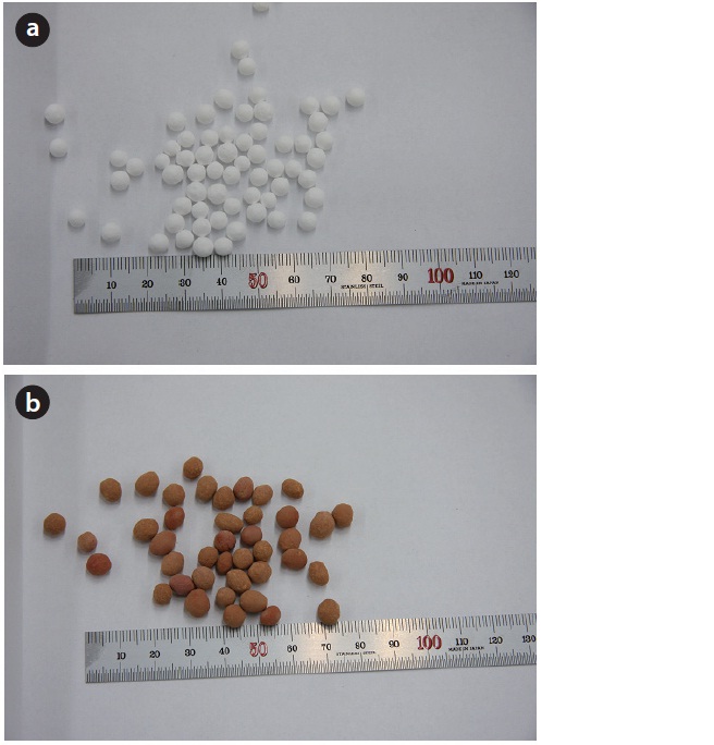 Activated alumina (a), and loess ball (b) used for supporting media of impregnating metals.
