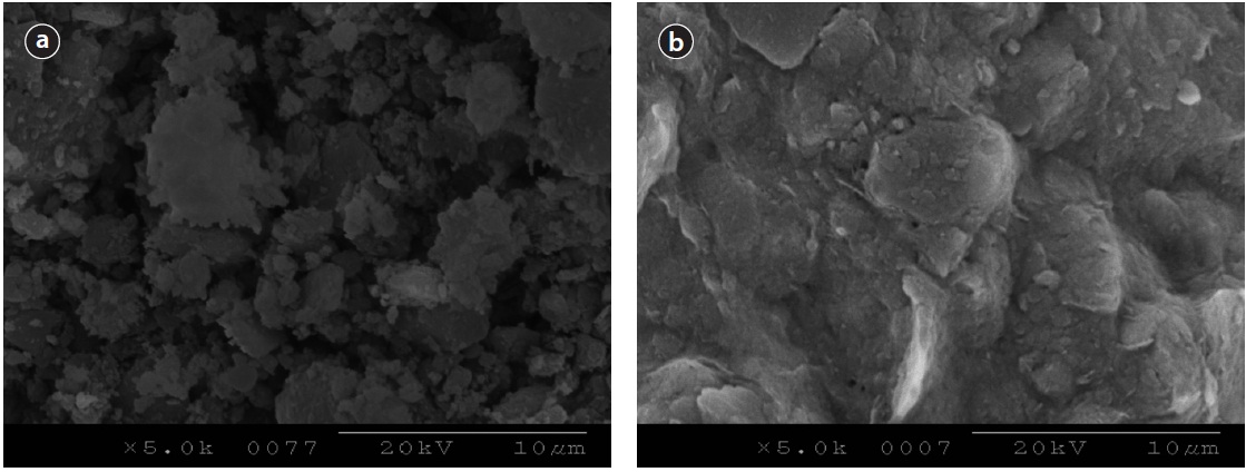 Surface scanning electron microscope images of activated alumina (a), and loess ball (b) (5,000 times magnification).