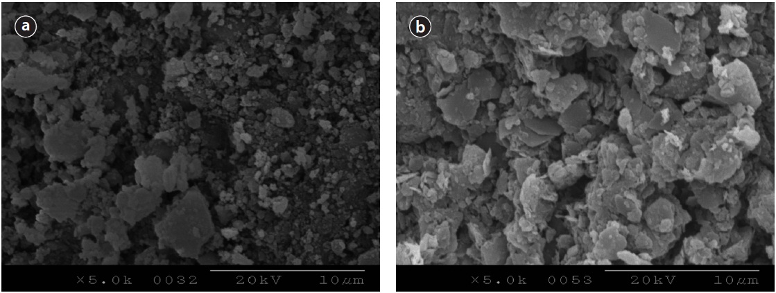 Scanning electron microscope images of Ca-impregnated activated alumina (a) and loess ball (b) before isotherm adsorption test for phosphate solution (5,000 times magnification).