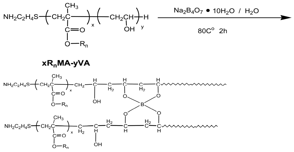 xRnMA-8.8VA crosslinking with Sodium tetraborate decahydrate