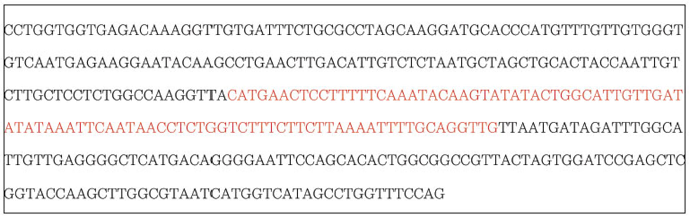Determined DNA sequence of the wild ginseng pGAPDH-w gene. Novel sequences are in red.