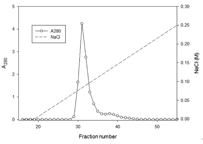 Ion exchange chromatography of the pooled sample obtained from the Sephadex G-75 column (Fig 2) on a DEAE Sepharose
column (2.5 cm x 10 cm) equilibrated in 50 mM Tris-HCl, pH 7.6. The flow rate was 30 ml/h and the fraction volume was 7 ml. The pooled
sample of the fractions 30-33 was subjected to SDS-PAGE in (Fig 4), lane E and (Fig 5)
