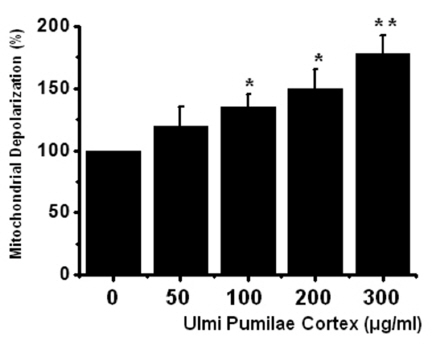UPC increases the mitochondrial membrane
depolarization potentials in AGS cells. Mitochondria membrane
depolarization is expressed as a value relative to that of untreated
cells which is set to 100%.The figures show mean ± SEM. *P < 0.05,
**P < 0.01.