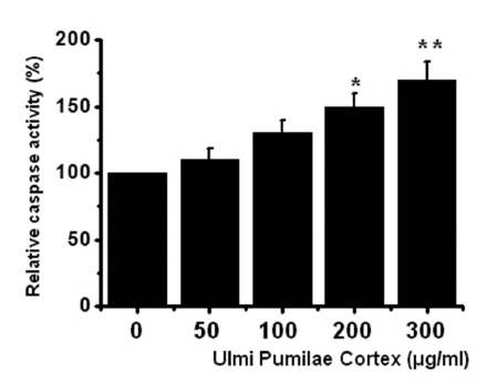 UPC increases the caspase activity in AGS cells. The AGS
cells were cultured with UPC at the indicated concentrations for 72
h prior to caspase assays. Caspase activity from untreated cells is
expressed as 100%. The figures show mean ± SEM. *P < 0.05, **P <
0.01.