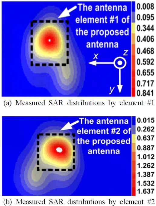 The measured SAR distributions of the fabricated antenna(input power : 250 mW).