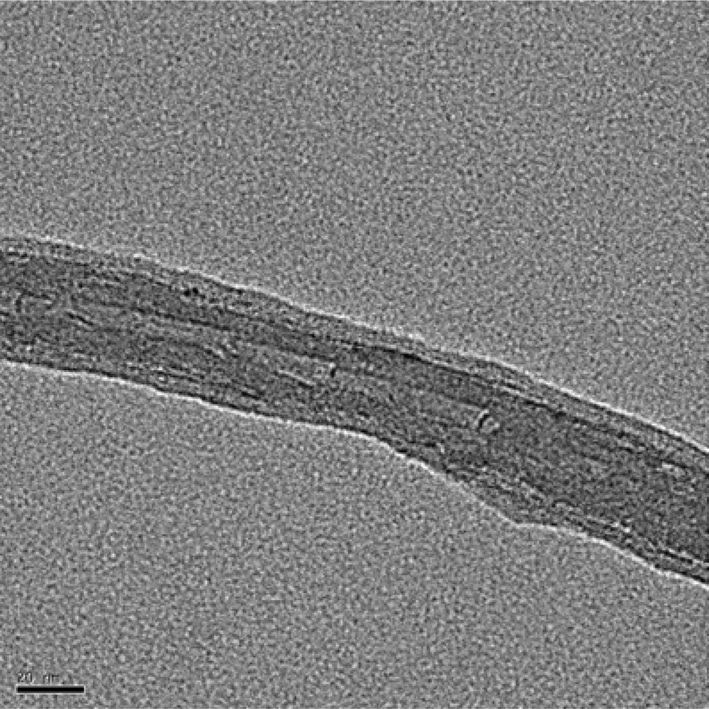 Transmission electron microscopy image of amino-CNTs [17]. amino-CNTs: dodecylamine functionalized carbon nanotubes.