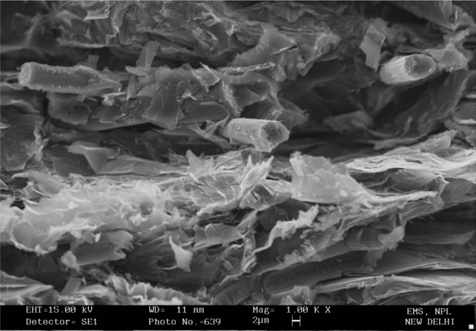 Scanning electron microscope micrograph of an expanded graphite-based composite with carbon fiber.