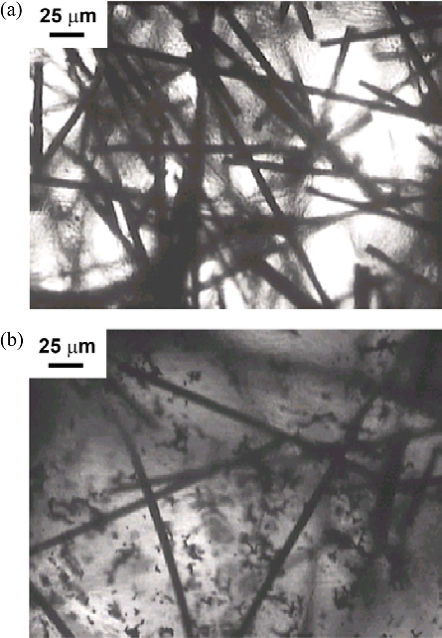 Optical micrographs of composite film at filler content of 20 wt%: (a) carbon fiber (CF) only and (b) hybrid filler consisting of 10 wt% CF and 10 wt% nickel powder.