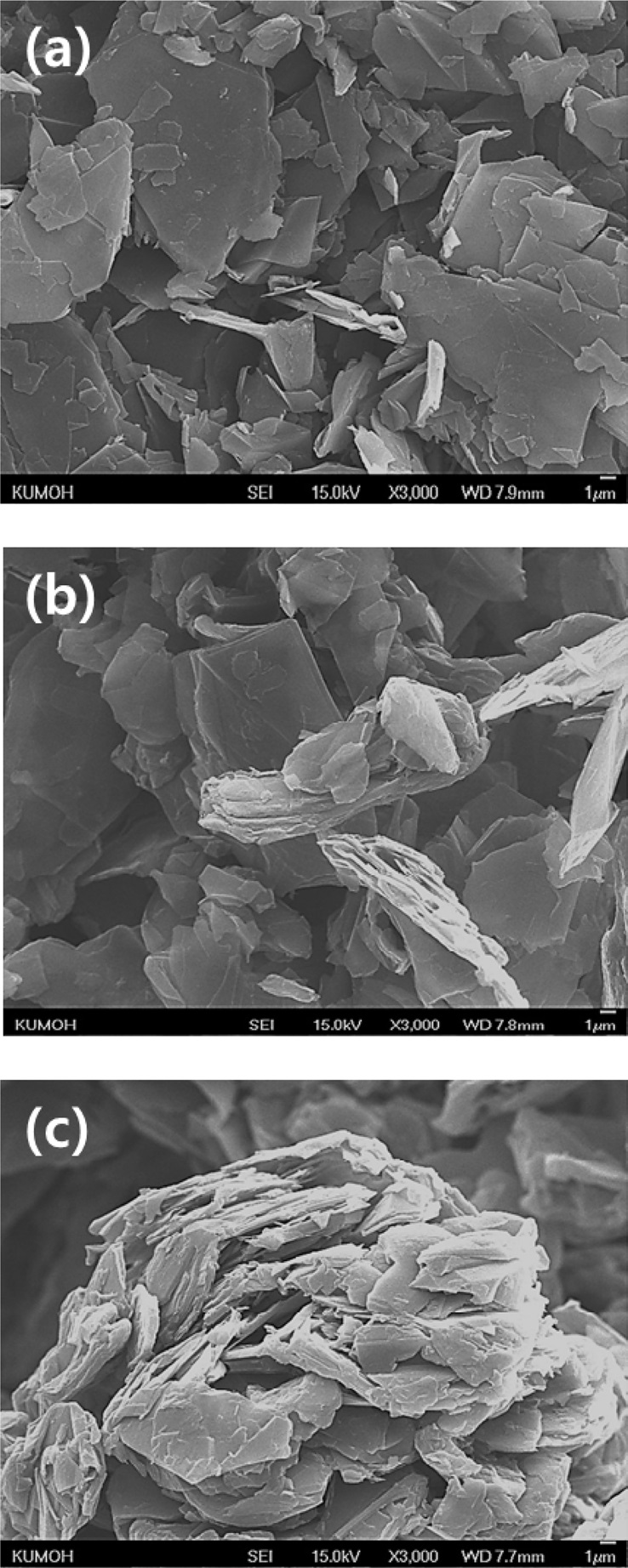 Scanning electron microscope images of raw graphite powder (a), graphite powder mixed with coal tar pitch (b) and graphite powder mixed with phenolic resin (c).