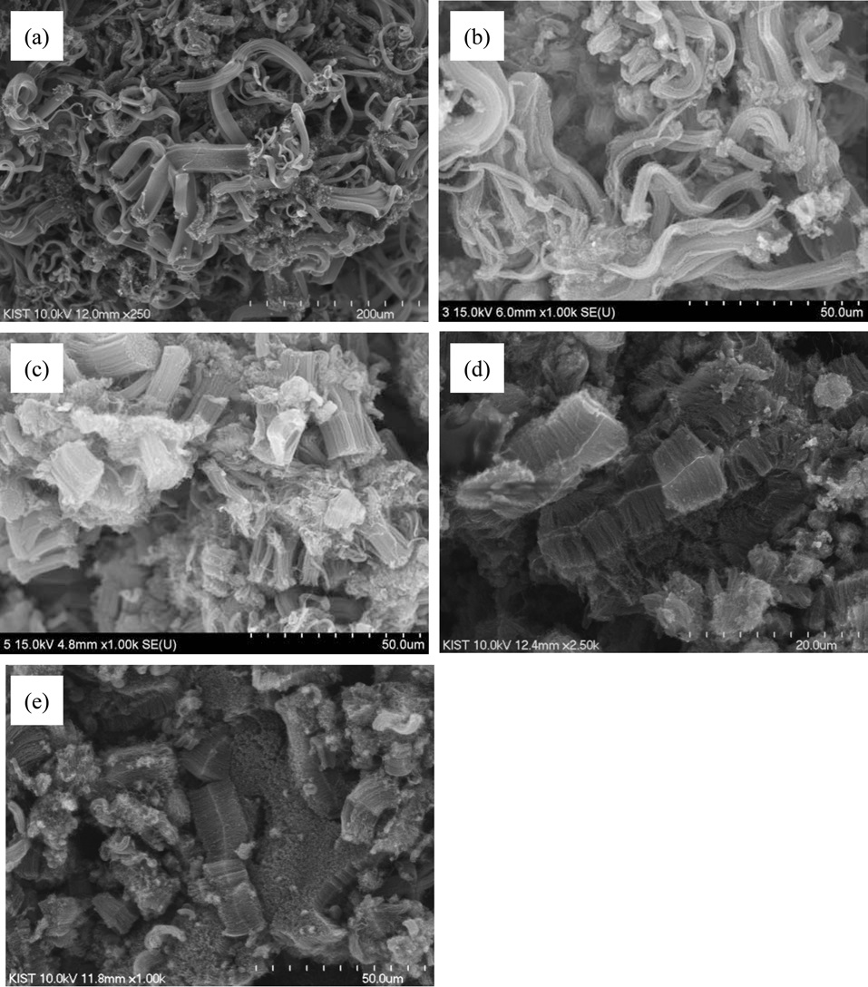 Images of scanning electron microscope for as-grown carbon nanotubes with different contents of Mo and Fe in catalysts ; (a) Mo/Fe = 0.058/0.127, (b) Mo/Fe = 0.029/0.127, (c) Mo/Fe = 0.015/0.063, (d) Mo/Fe = 0.011/0.048 and (e) Mo/Fe = 0.009/0.038.