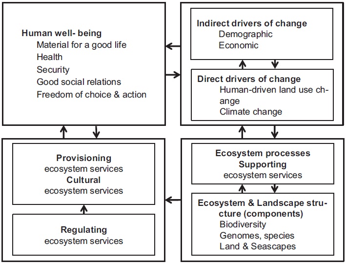Conceptual framework of interactions between ecosystem structure and process, ecosystem services, human well-being, indirect drivers and direct drivers (modified from Carpenter et al. (2009) and Millennium Ecosystem Assessment (2005))