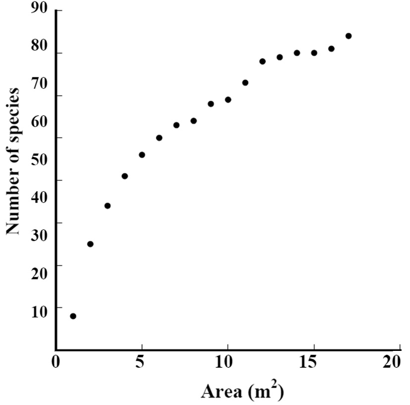 Species-area curve in Subplot D1